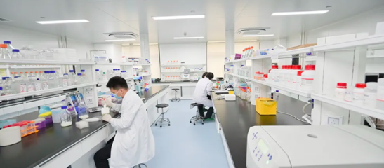 生物島實驗室新冠病毒基因組大數(shù)據(jù)在線分析系統(tǒng)在廣州正式上線